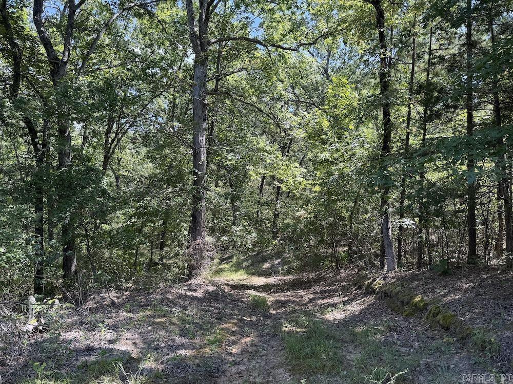 Photo 4 - Vacant Land for sale –   Haw Mountain Cemetery Road   Calico Rock, AR