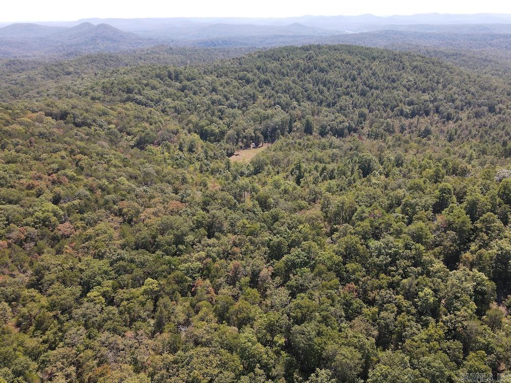 Photo 31 - Vacant Land for sale –   Haw Mountain Cemetery Road   Calico Rock, AR