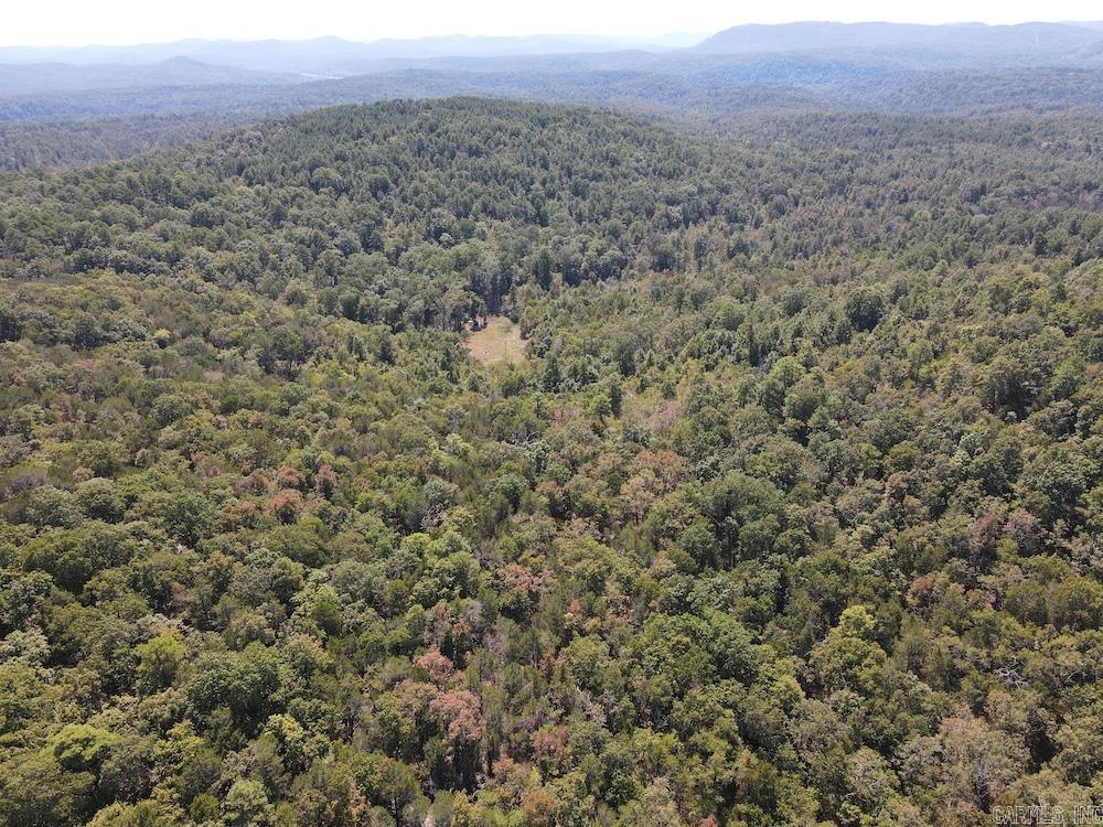 Photo 32 - Vacant Land for sale –   Haw Mountain Cemetery Road   Calico Rock, AR