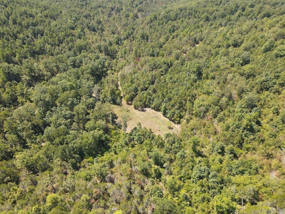 Photo 33 - Vacant Land for sale –   Haw Mountain Cemetery Road   Calico Rock, AR