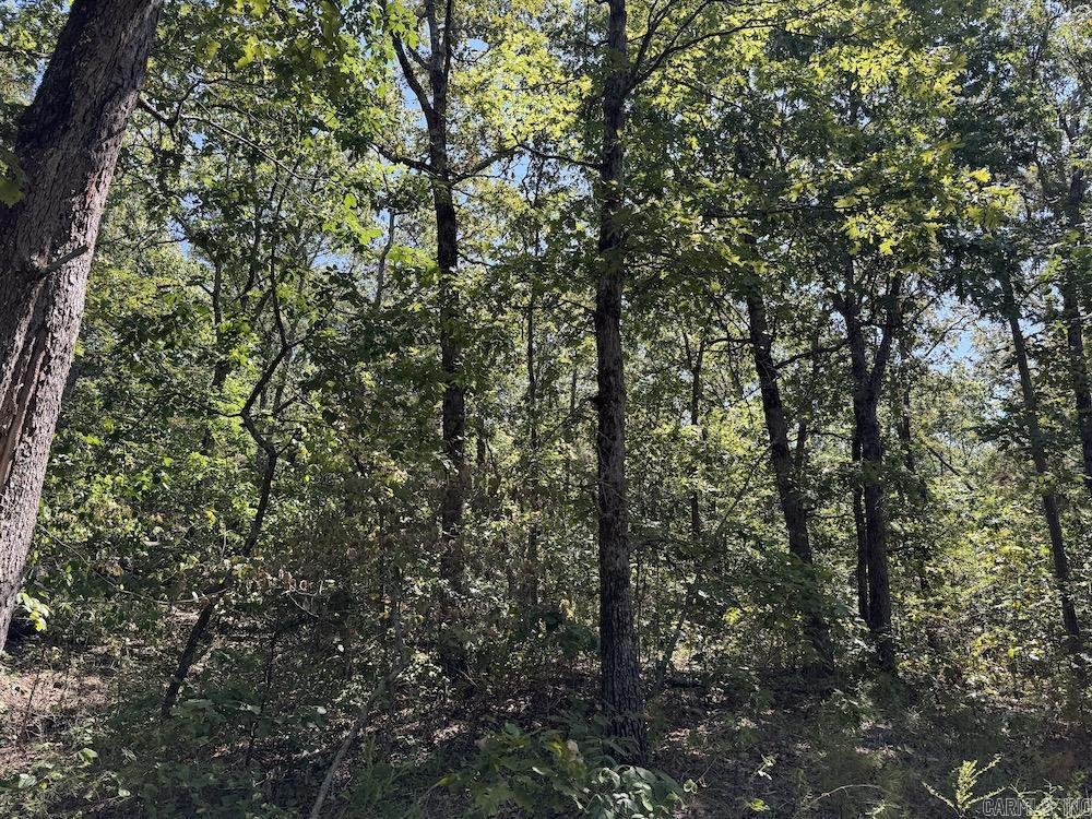 Photo 34 - Vacant Land for sale –   Haw Mountain Cemetery Road   Calico Rock, AR