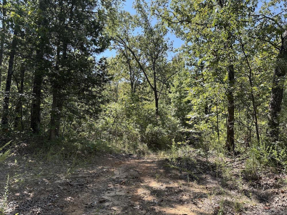 Photo 35 - Vacant Land for sale –   Haw Mountain Cemetery Road   Calico Rock, AR