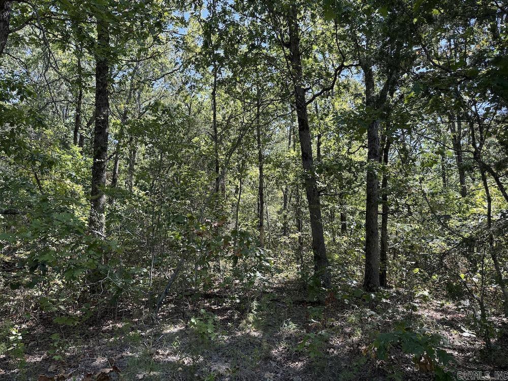 Photo 36 - Vacant Land for sale –   Haw Mountain Cemetery Road   Calico Rock, AR