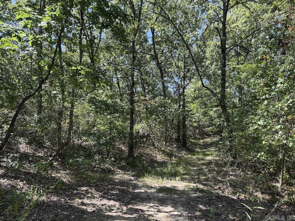 Photo 37 - Vacant Land for sale –   Haw Mountain Cemetery Road   Calico Rock, AR