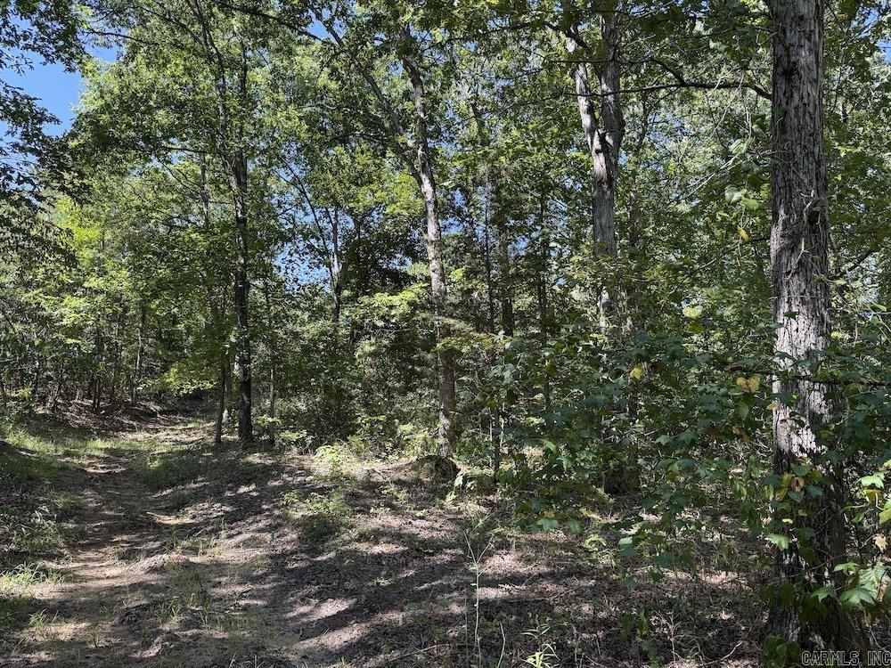 Photo 38 - Vacant Land for sale –   Haw Mountain Cemetery Road   Calico Rock, AR
