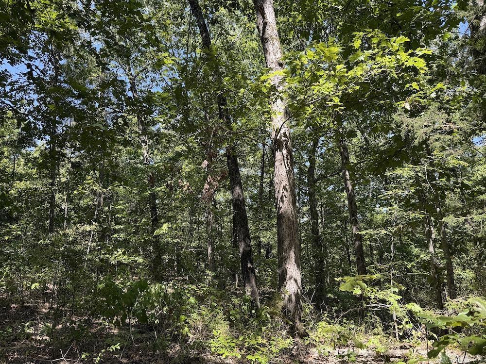 Photo 39 - Vacant Land for sale –   Haw Mountain Cemetery Road   Calico Rock, AR