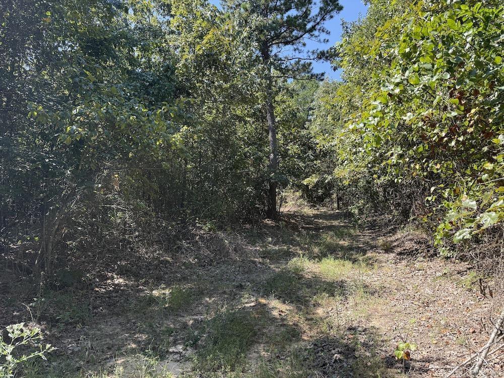 Photo 40 - Vacant Land for sale –   Haw Mountain Cemetery Road   Calico Rock, AR