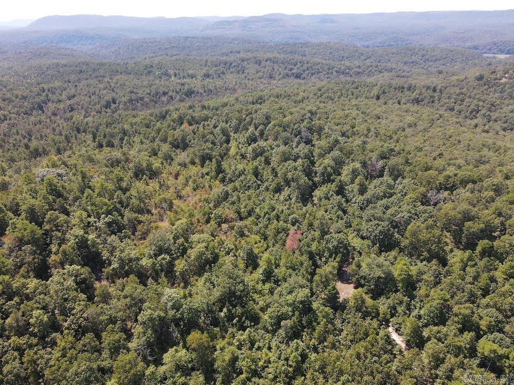 Photo 5 - Vacant Land for sale –   Haw Mountain Cemetery Road   Calico Rock, AR