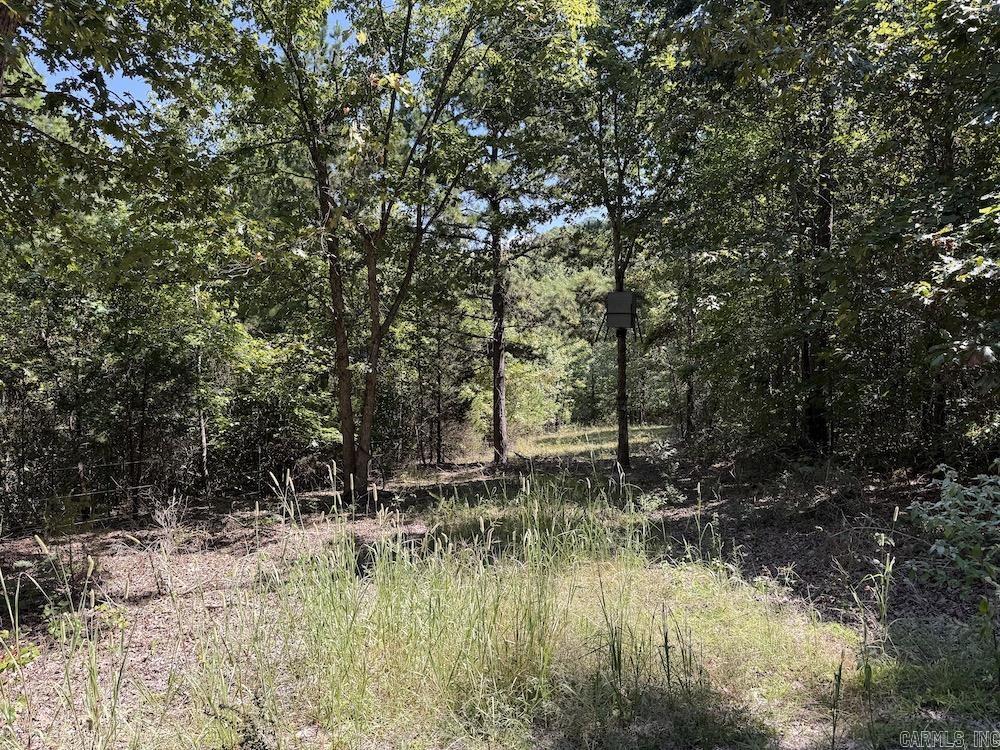 Photo 41 - Vacant Land for sale –   Haw Mountain Cemetery Road   Calico Rock, AR