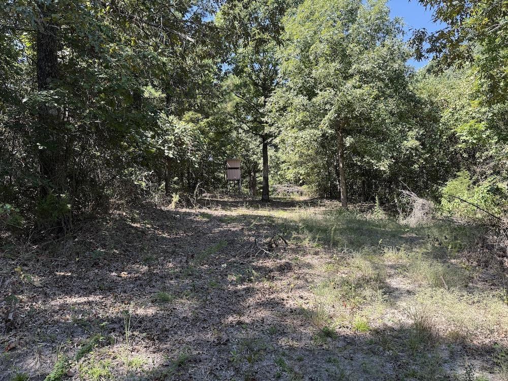 Photo 42 - Vacant Land for sale –   Haw Mountain Cemetery Road   Calico Rock, AR