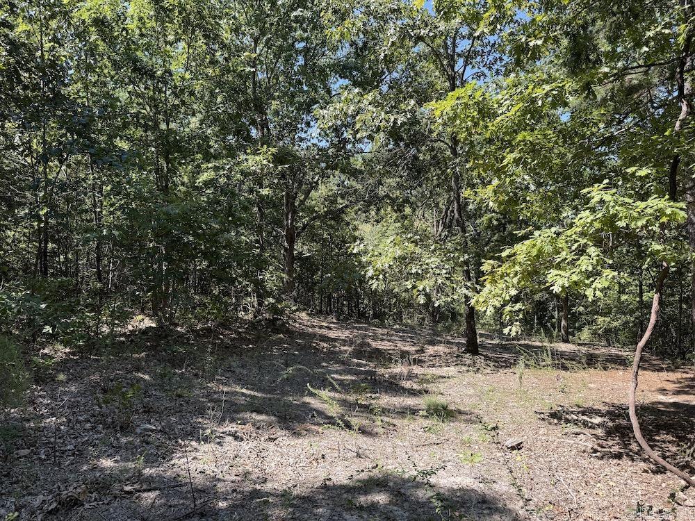 Photo 44 - Vacant Land for sale –   Haw Mountain Cemetery Road   Calico Rock, AR