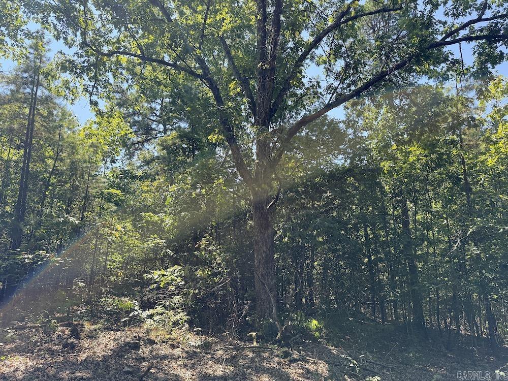 Photo 45 - Vacant Land for sale –   Haw Mountain Cemetery Road   Calico Rock, AR