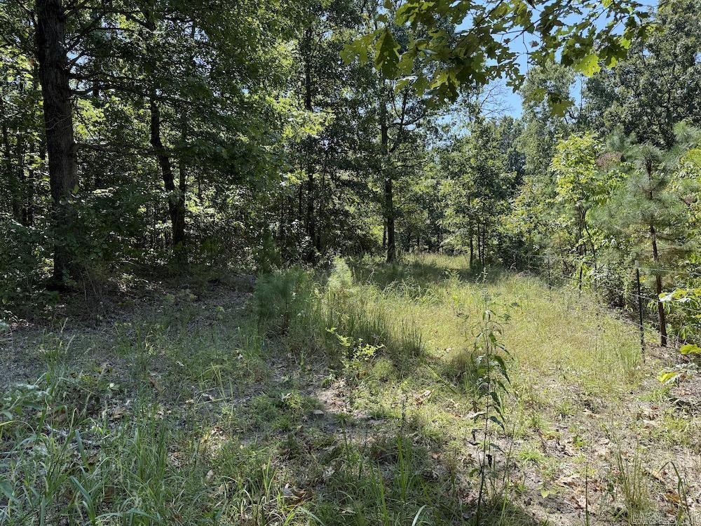 Photo 46 - Vacant Land for sale –   Haw Mountain Cemetery Road   Calico Rock, AR