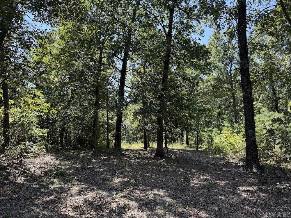 Photo 47 - Vacant Land for sale –   Haw Mountain Cemetery Road   Calico Rock, AR
