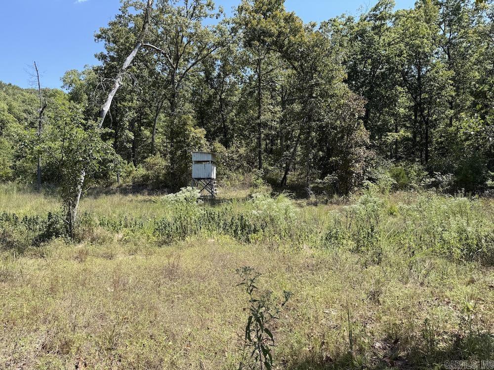 Photo 48 - Vacant Land for sale –   Haw Mountain Cemetery Road   Calico Rock, AR