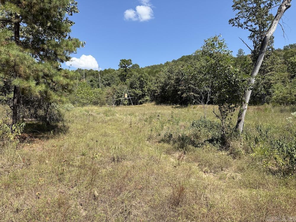 Photo 49 - Vacant Land for sale –   Haw Mountain Cemetery Road   Calico Rock, AR