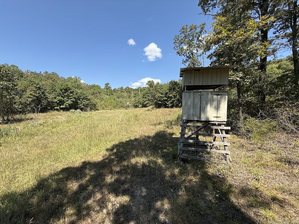 Photo 50 - Vacant Land for sale –   Haw Mountain Cemetery Road   Calico Rock, AR