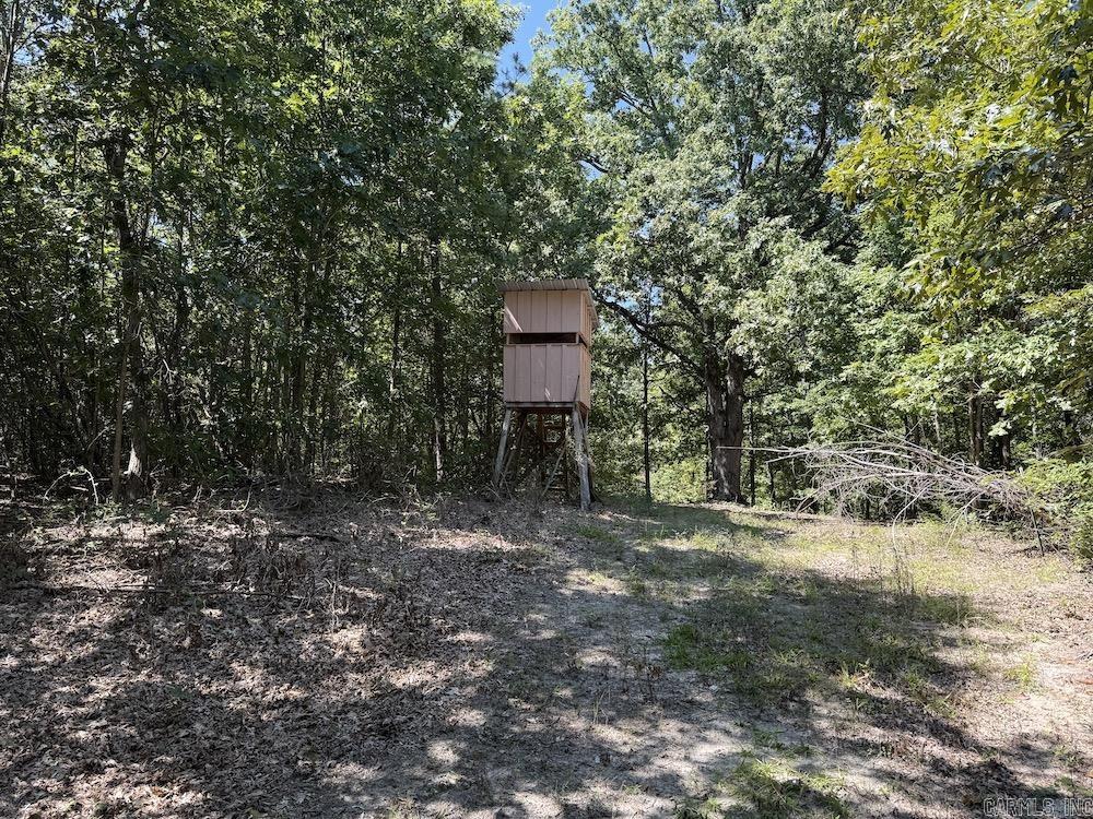 Photo 6 - Vacant Land for sale –   Haw Mountain Cemetery Road   Calico Rock, AR
