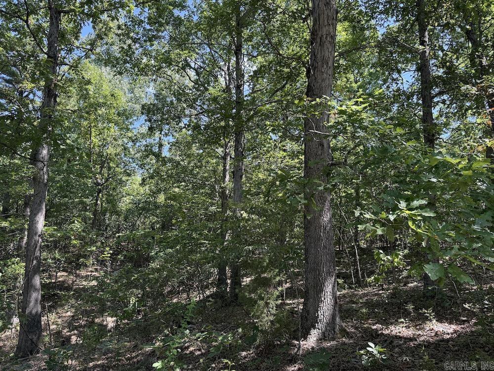 Photo 7 - Vacant Land for sale –   Haw Mountain Cemetery Road   Calico Rock, AR