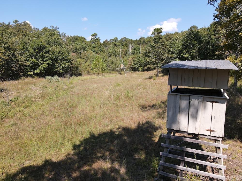 Photo 8 - Vacant Land for sale –   Haw Mountain Cemetery Road   Calico Rock, AR