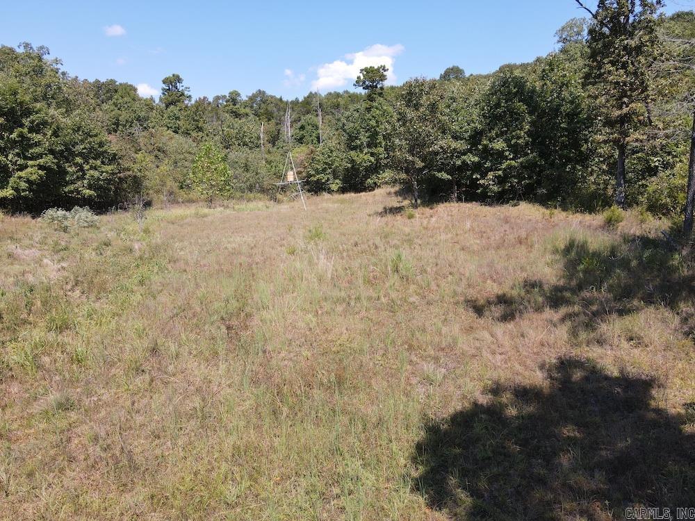 Photo 9 - Vacant Land for sale –   Haw Mountain Cemetery Road   Calico Rock, AR