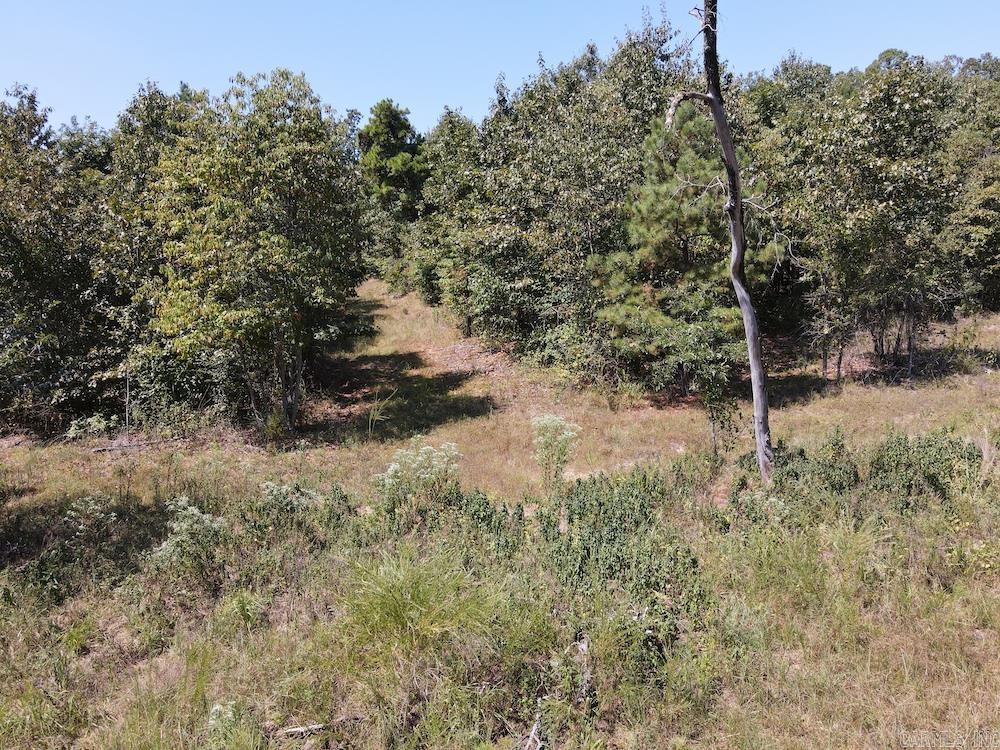 Photo 10 - Vacant Land for sale –   Haw Mountain Cemetery Road   Calico Rock, AR