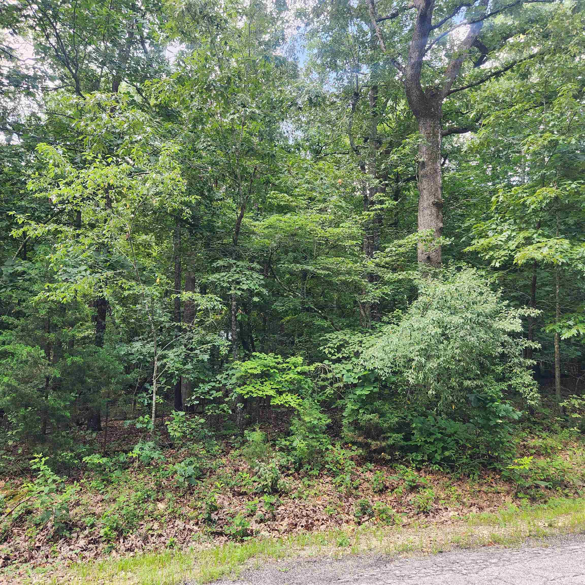 Vacant Land for sale – L-42, B-1  Saskatchewan   Cherokee Village, AR