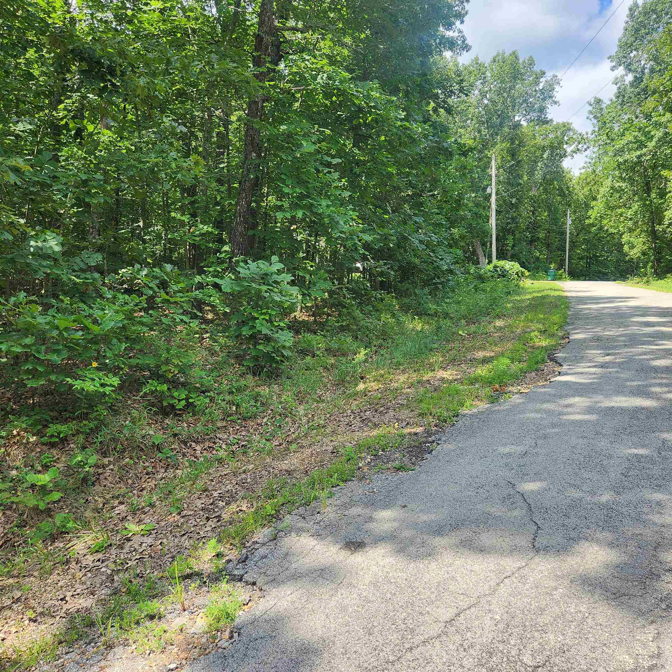 Photo 2 - Vacant Land for sale – L-42, B-1  Saskatchewan   Cherokee Village, AR