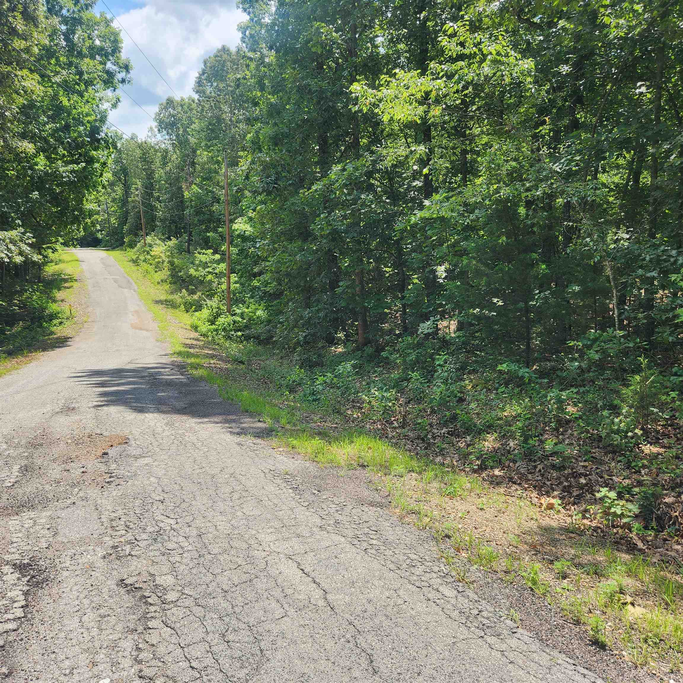 Photo 3 - Vacant Land for sale – L-42, B-1  Saskatchewan   Cherokee Village, AR