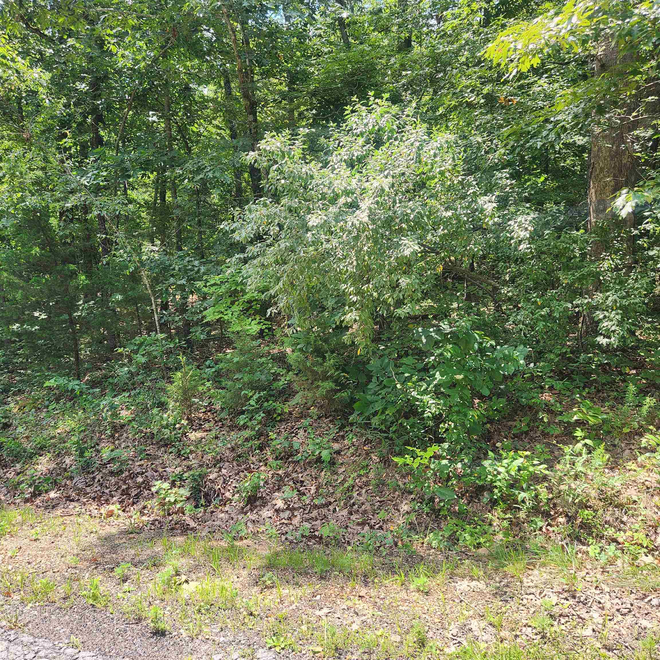 Photo 4 - Vacant Land for sale – L-42, B-1  Saskatchewan   Cherokee Village, AR