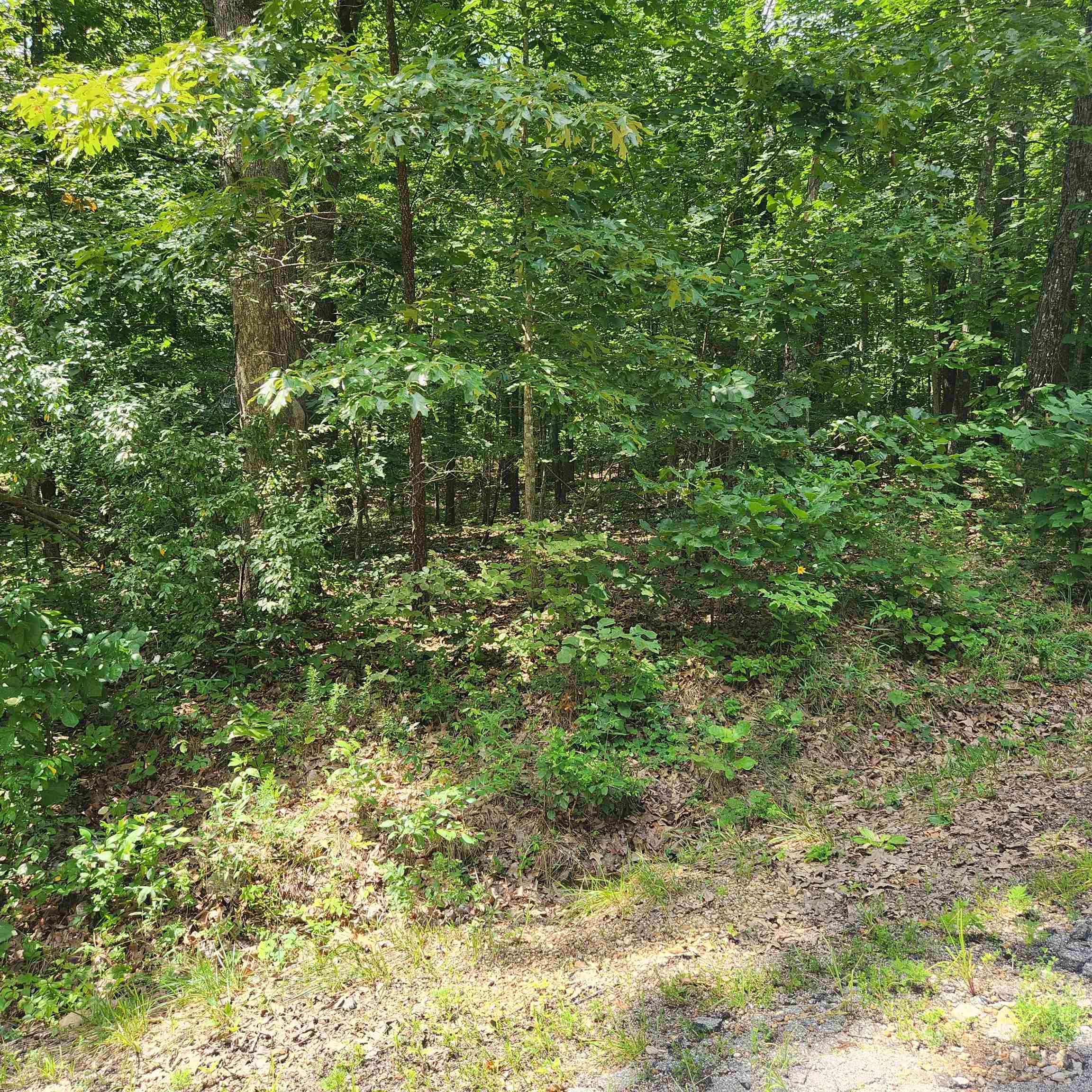 Photo 5 - Vacant Land for sale – L-42, B-1  Saskatchewan   Cherokee Village, AR