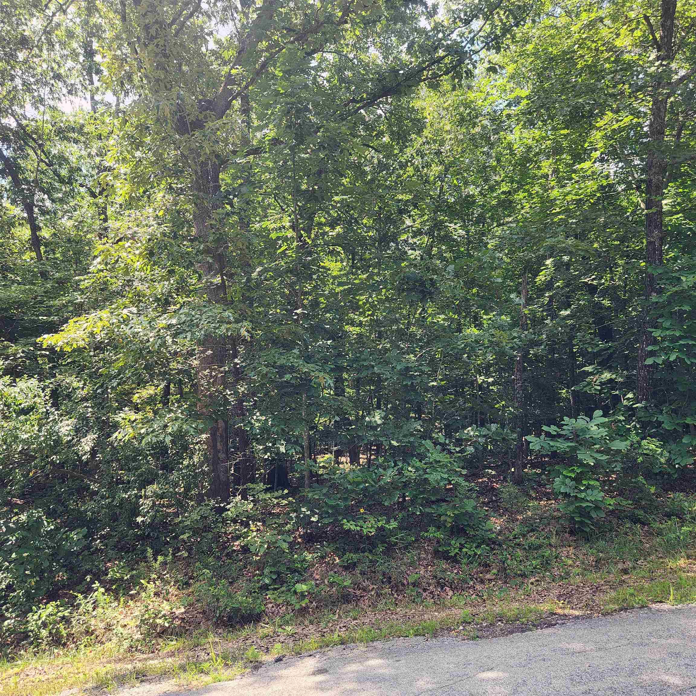 Photo 8 - Vacant Land for sale – L-42, B-1  Saskatchewan   Cherokee Village, AR