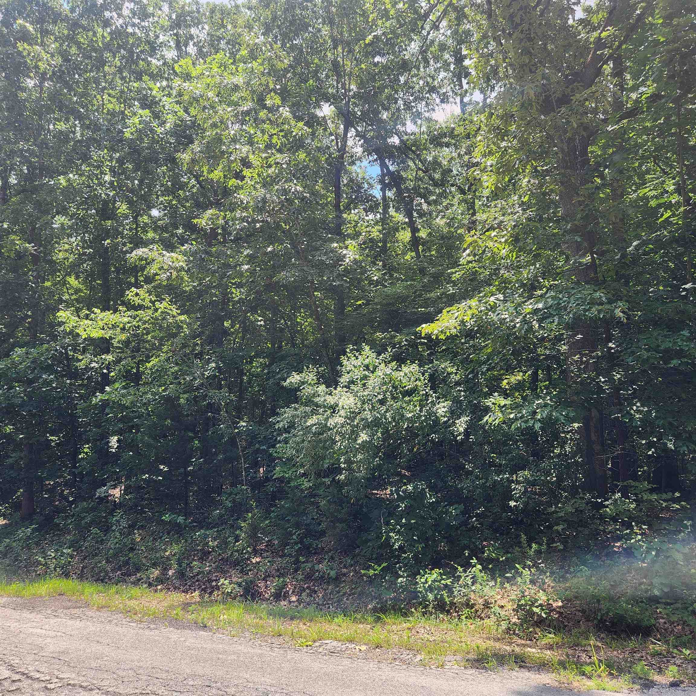 Photo 9 - Vacant Land for sale – L-42, B-1  Saskatchewan   Cherokee Village, AR