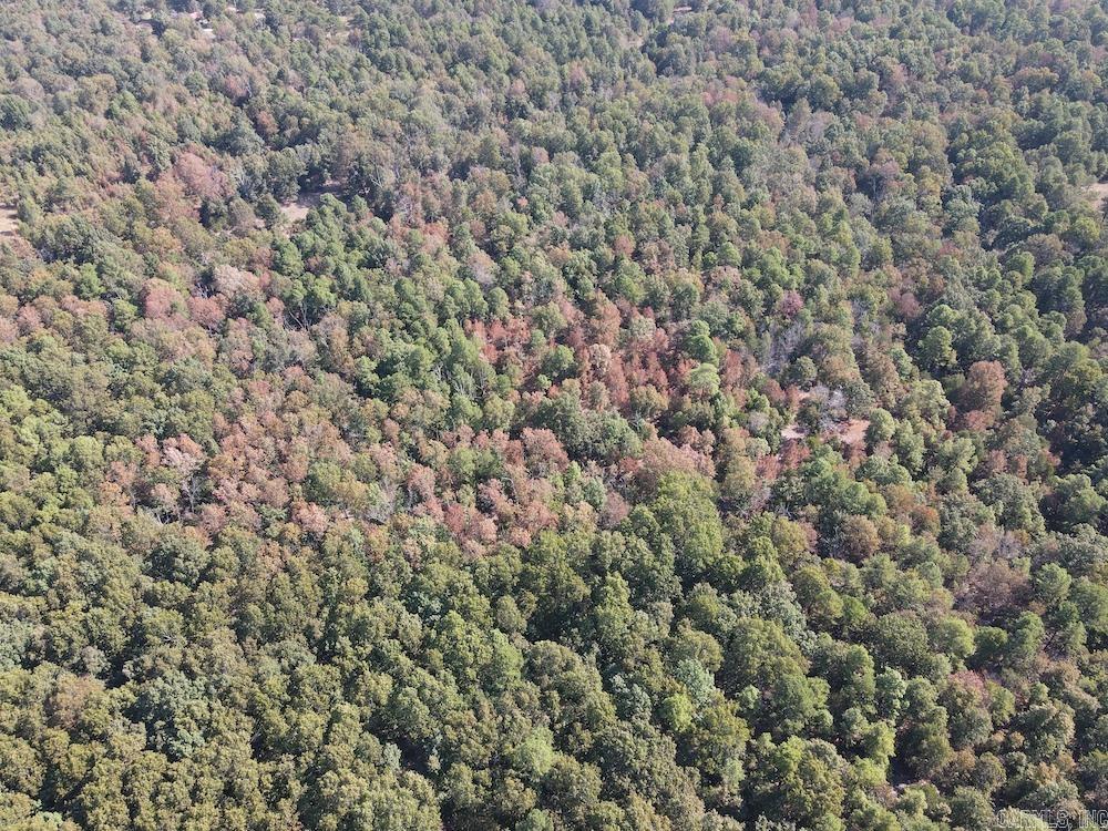 Photo 11 - Residential for sale – 643 W Spring Hill Road   Oxford, AR