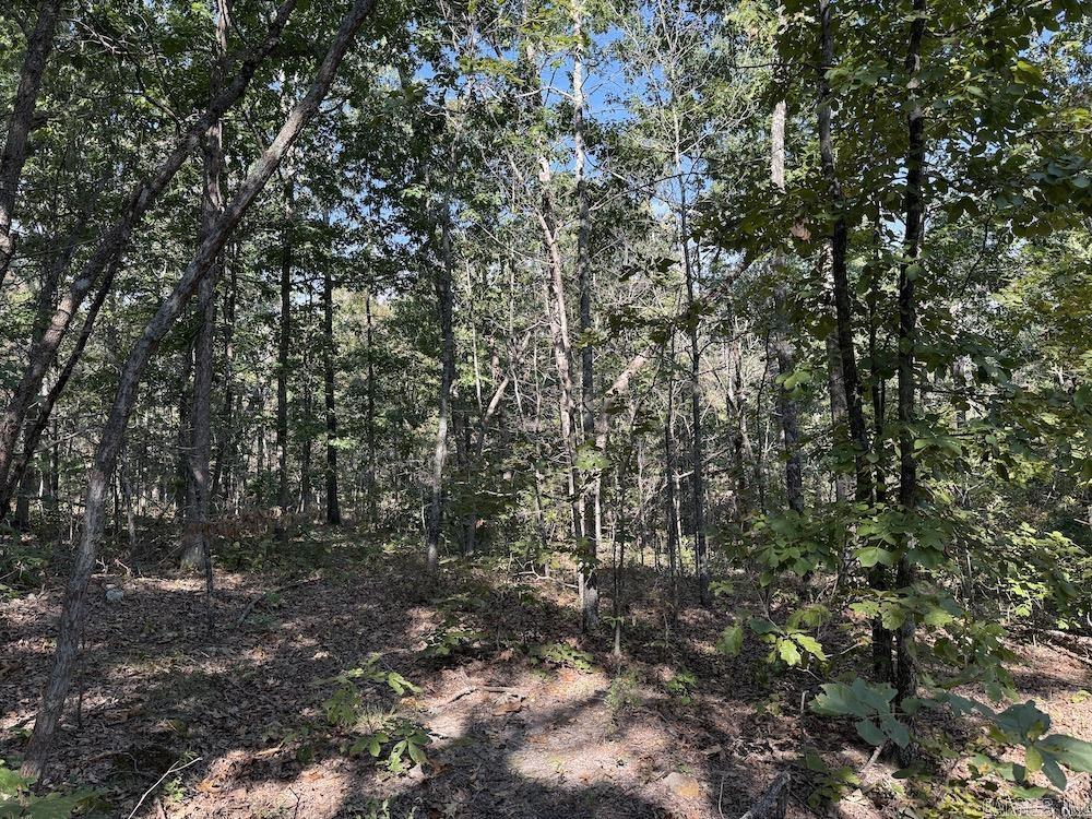 Photo 43 - Residential for sale – 643 W Spring Hill Road   Oxford, AR