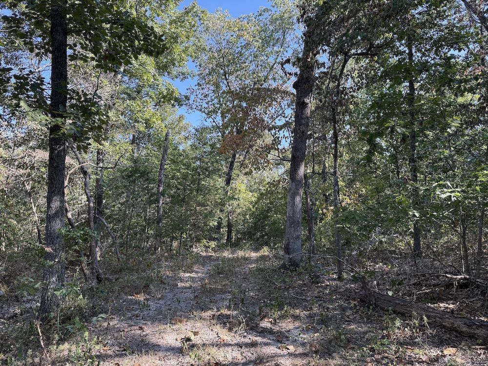 Photo 44 - Residential for sale – 643 W Spring Hill Road   Oxford, AR