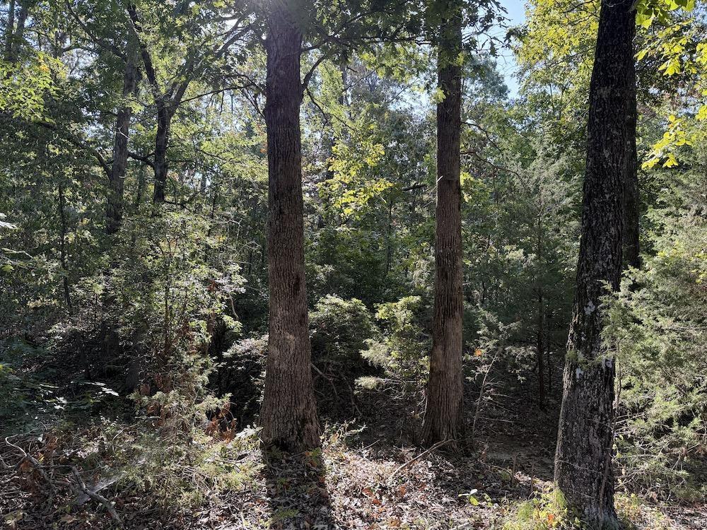 Photo 45 - Residential for sale – 643 W Spring Hill Road   Oxford, AR