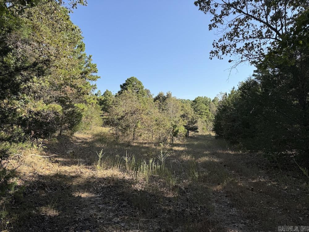 Photo 46 - Residential for sale – 643 W Spring Hill Road   Oxford, AR