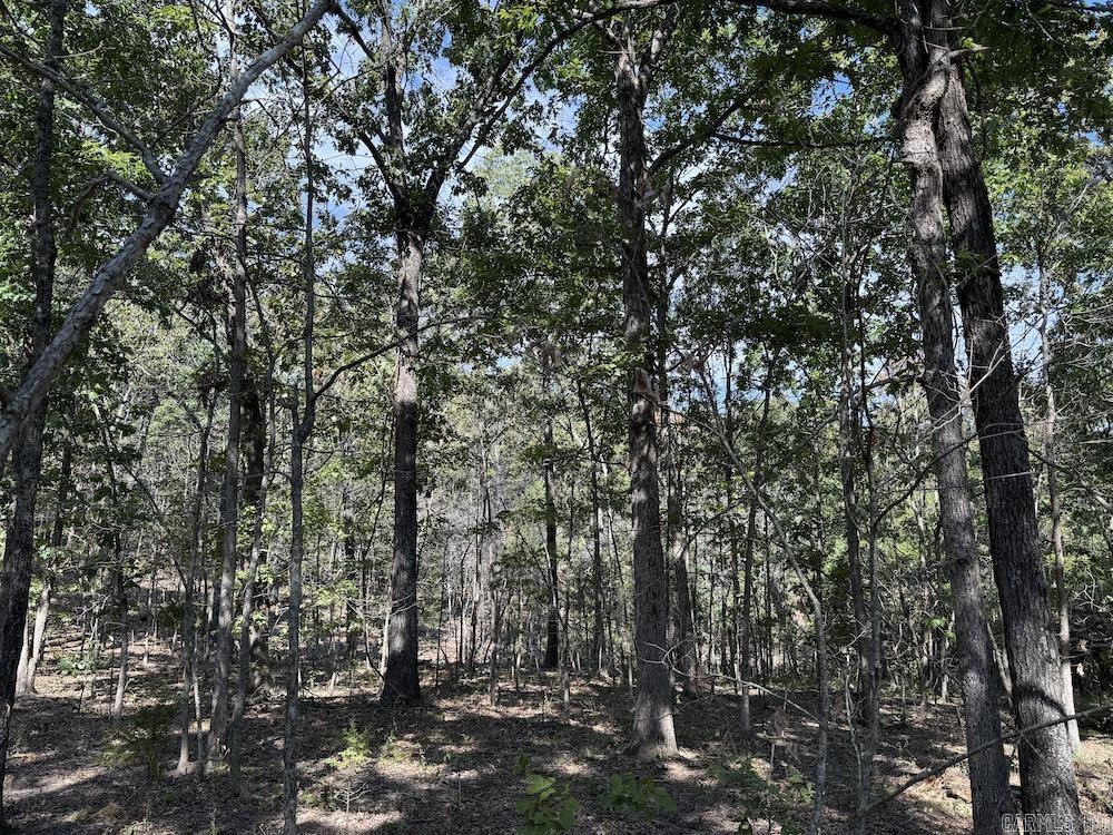 Photo 8 - Residential for sale – 643 W Spring Hill Road   Oxford, AR