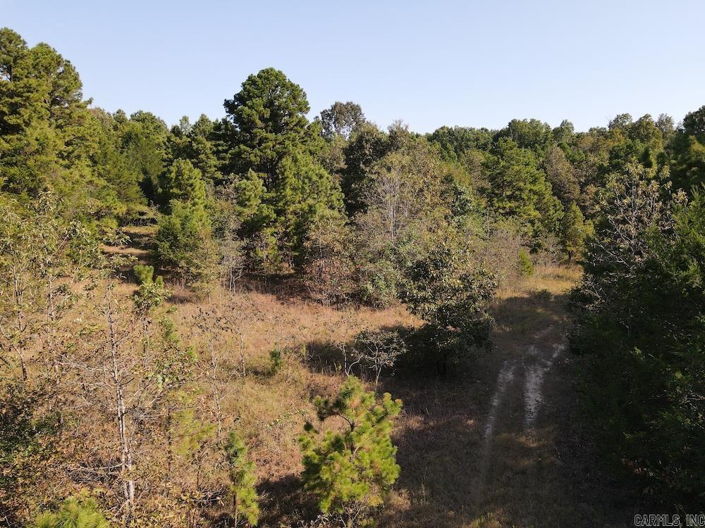 Photo 10 - Residential for sale – 643 W Spring Hill Road   Oxford, AR