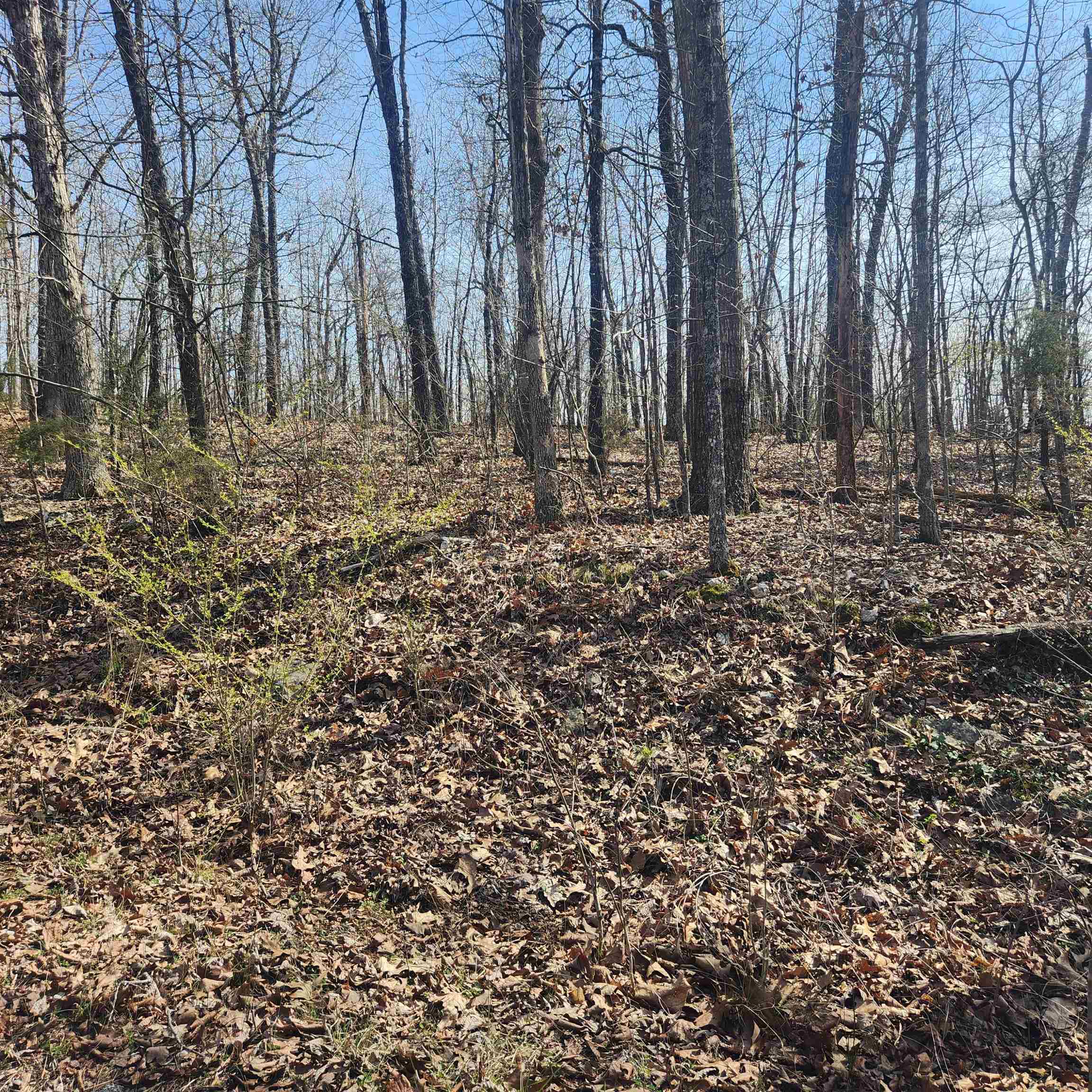 Vacant Land for sale – L-4, B-6  Chickasaw   Cherokee Village, AR
