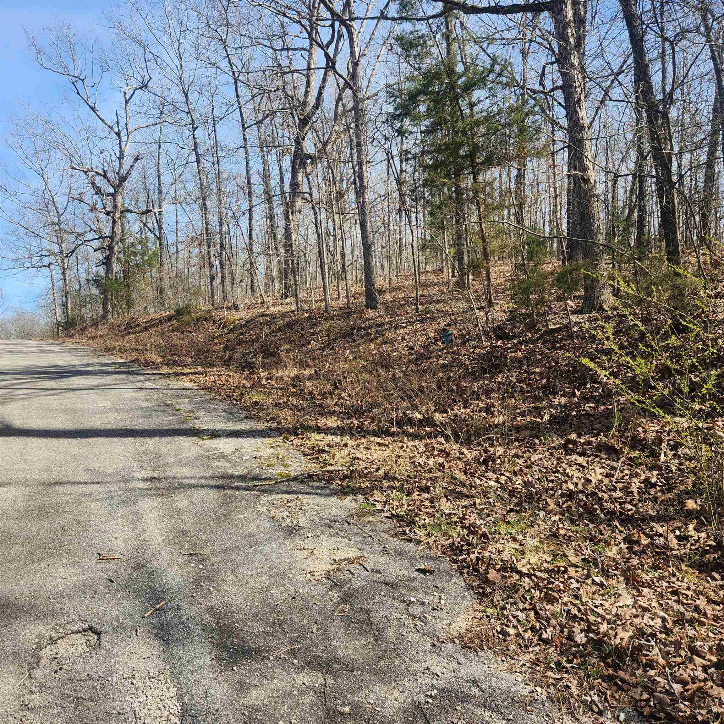 Photo 2 - Vacant Land for sale – L-4, B-6  Chickasaw   Cherokee Village, AR