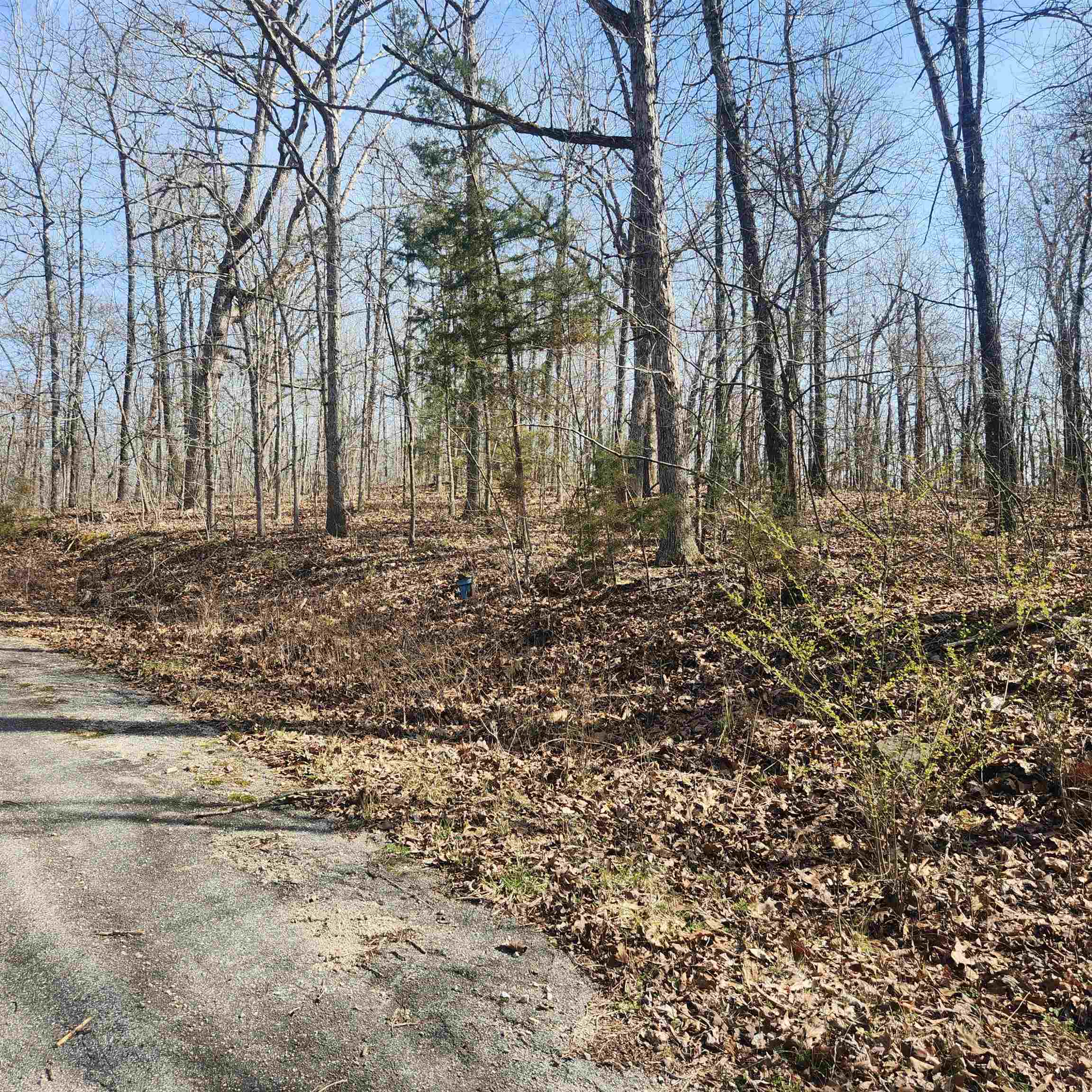 Photo 4 - Vacant Land for sale – L-4, B-6  Chickasaw   Cherokee Village, AR