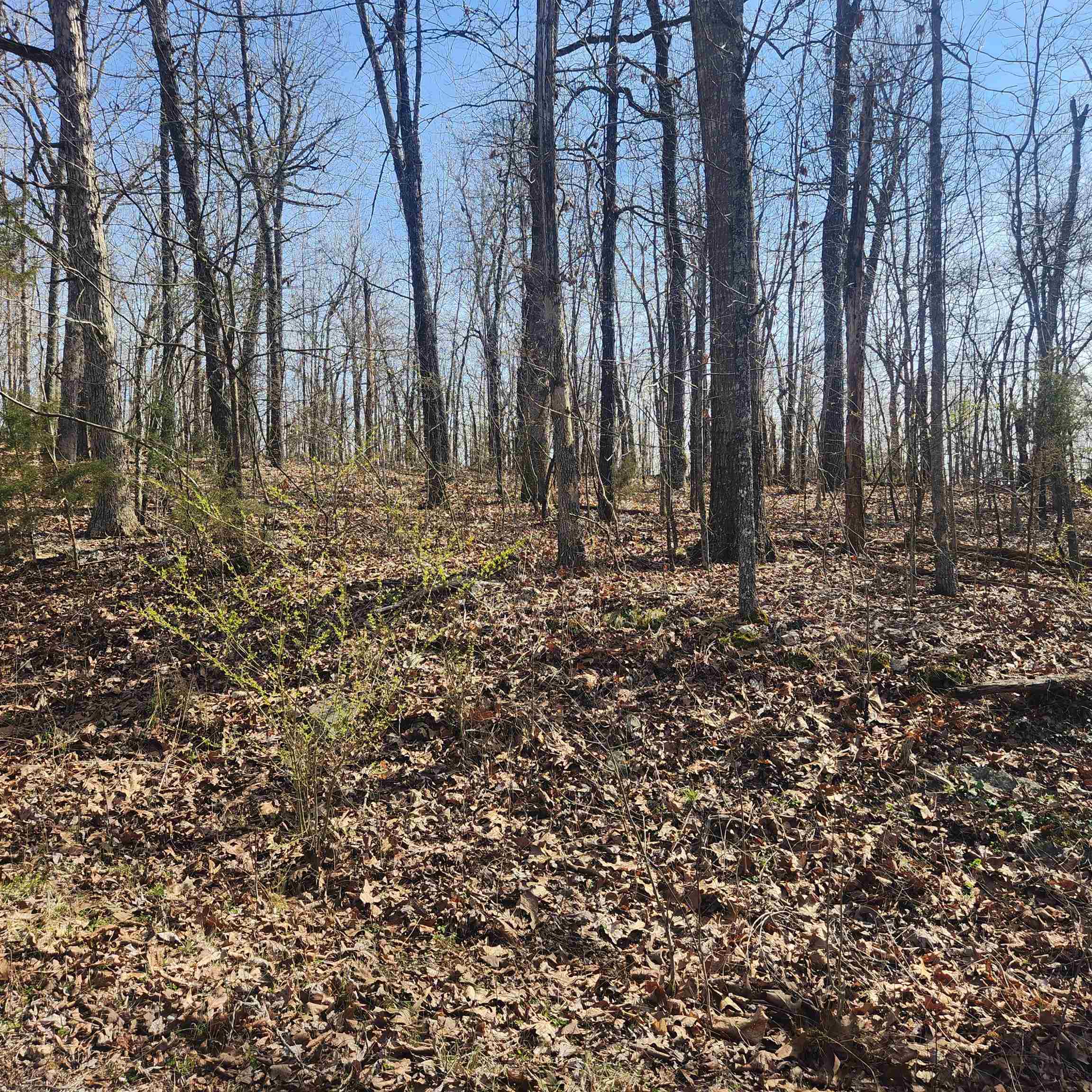 Photo 5 - Vacant Land for sale – L-4, B-6  Chickasaw   Cherokee Village, AR