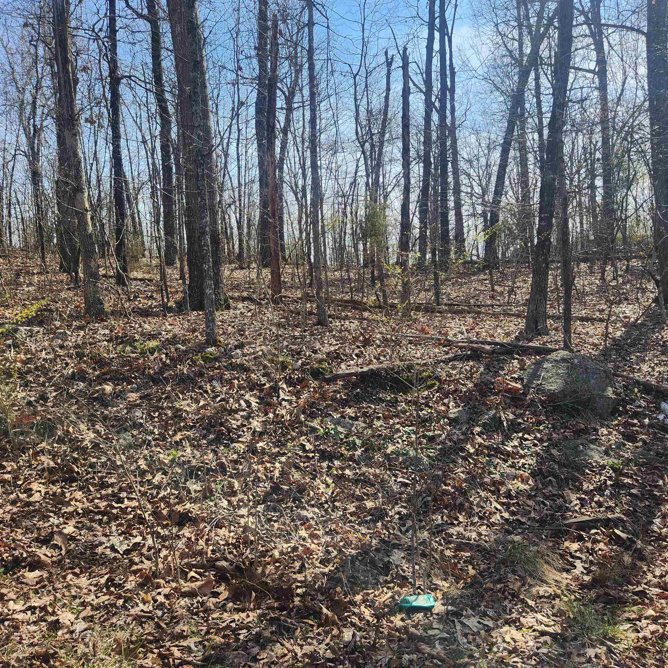 Photo 6 - Vacant Land for sale – L-4, B-6  Chickasaw   Cherokee Village, AR