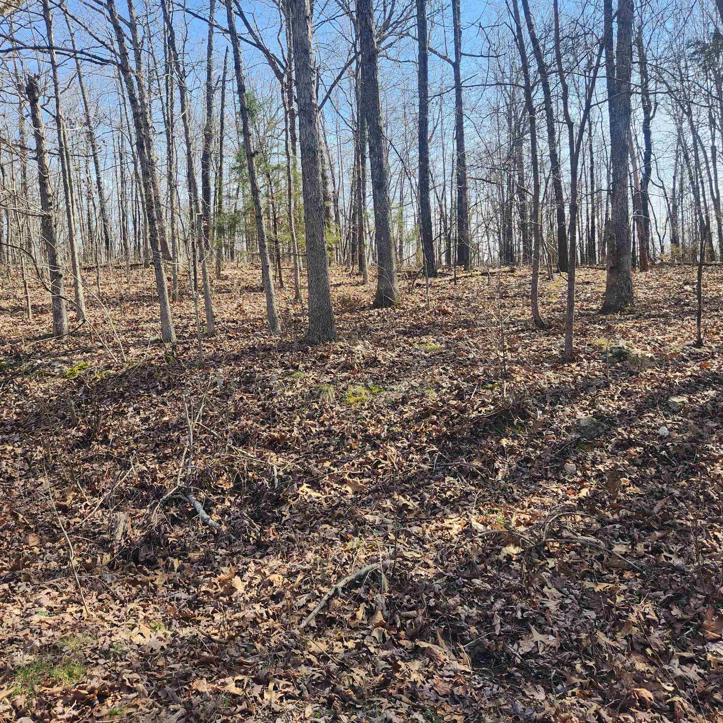 Photo 7 - Vacant Land for sale – L-4, B-6  Chickasaw   Cherokee Village, AR