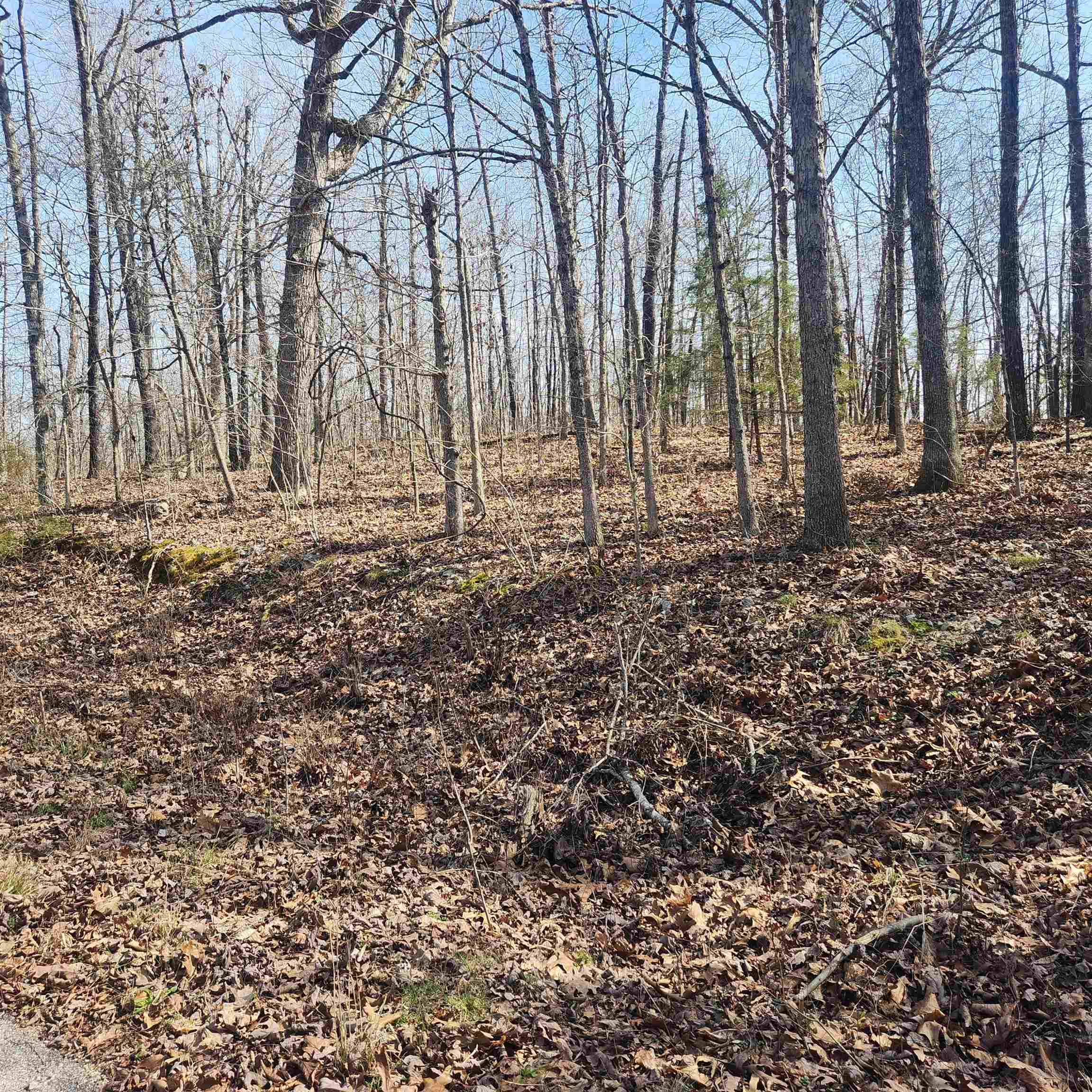 Photo 8 - Vacant Land for sale – L-4, B-6  Chickasaw   Cherokee Village, AR