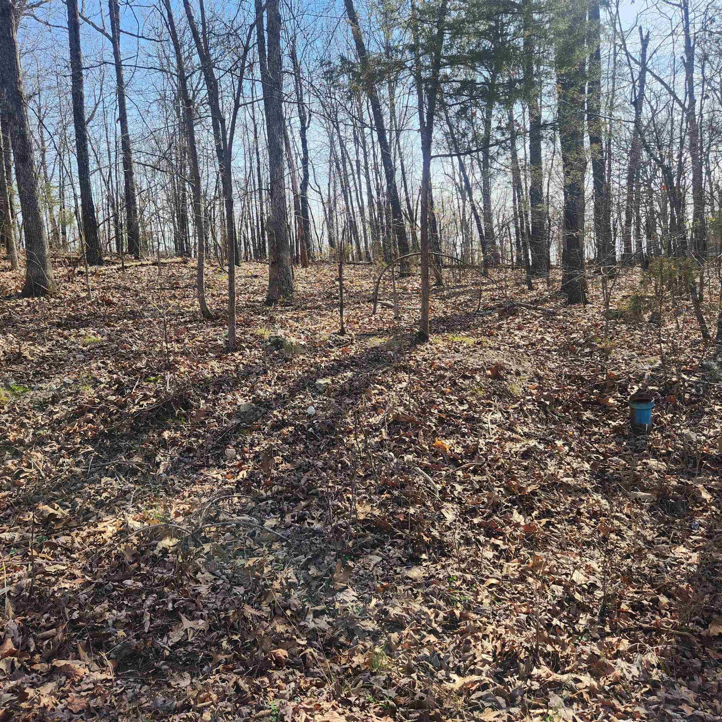 Photo 9 - Vacant Land for sale – L-4, B-6  Chickasaw   Cherokee Village, AR