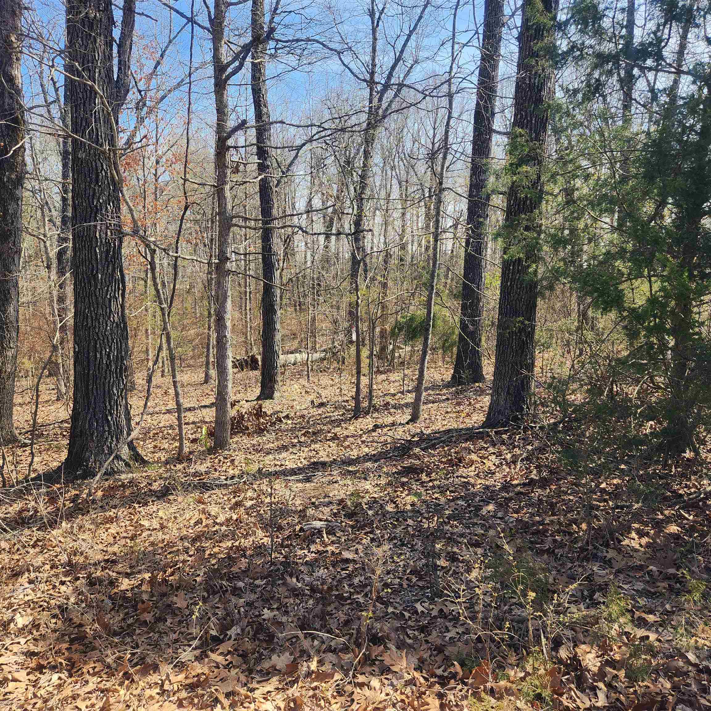 Vacant Land for sale – L-7, B-29  Miccosukee   Cherokee Village, AR