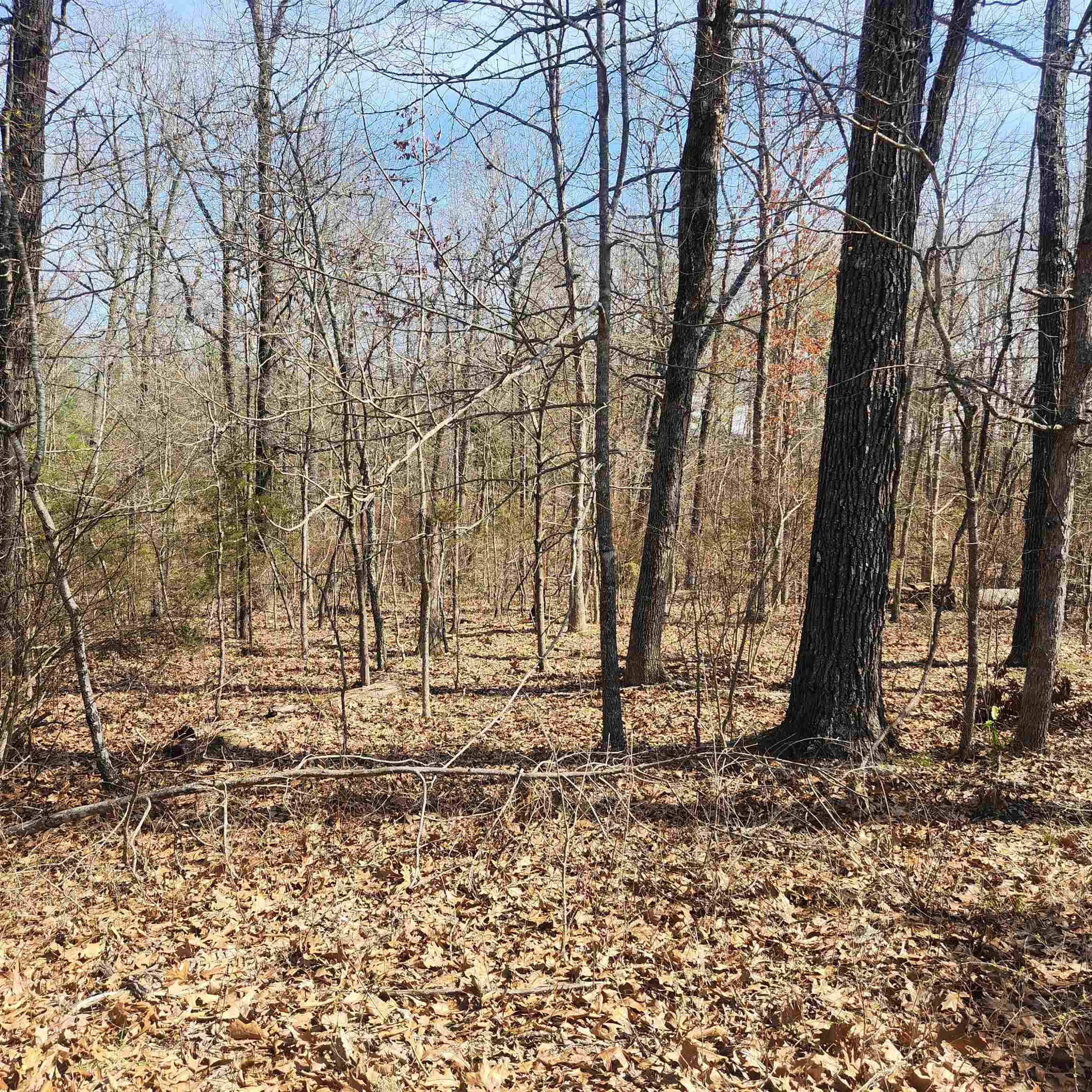 Photo 2 - Vacant Land for sale – L-7, B-29  Miccosukee   Cherokee Village, AR